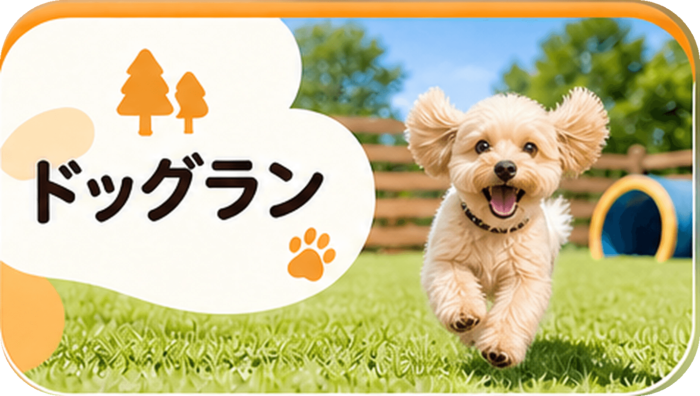 ドッグランのある愛犬と泊まれる宿を探す